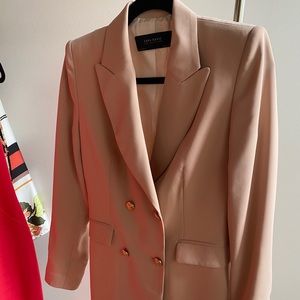 Zara Double Breasted Dress